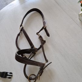 Licol Cuir