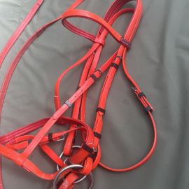 Filet licol Norton rouge (cheval)