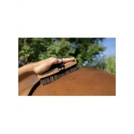 Brosse extra-douce Hippotonic (neuf)