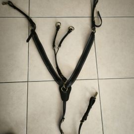 Collier Time Rider (cheval)
