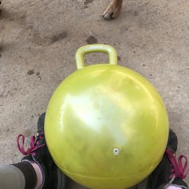 Balle de jeux pour chevaux