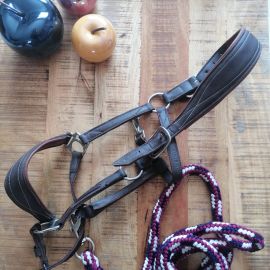 Licol Fouganza & longe norton (cheval)