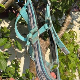 Licol Fouganza turquoise (cheval)
