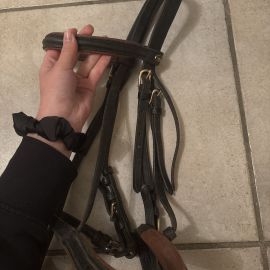 Filet Eric Thomas marron & noir (cheval)