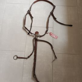 Collier de chasse CWD