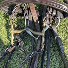 Bride Canter havana (cheval)