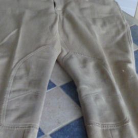Pantalon Jumper's Horses Lines