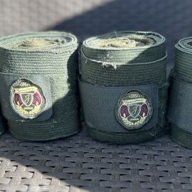 Bandes de travail Jacson vert *4 (cheval)
