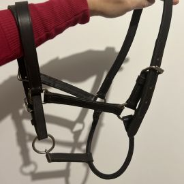 Licol cuir noir