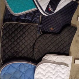 Lot tapis de selle *10 (cheval)