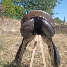 Selle stubben