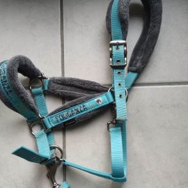 Licol et longe Fouganza turquoise