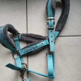 Licol et longe Fouganza turquoise (cheval)