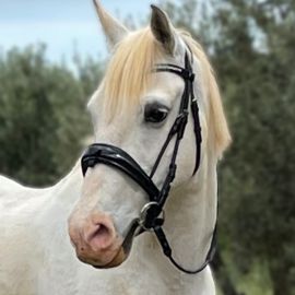 Filet anatomique Anky dressage Cobra noir (pur-sang)
