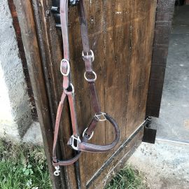 Licol Antares cuir marron (cheval)