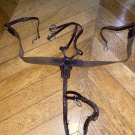 Collier de chasse et martingale Norton