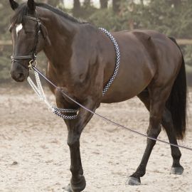 Enrenement longe type pelli (cheval) neuf