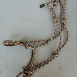 Licol éthologique