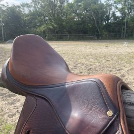 Selle mixte Éric Thomas 17,5 pouces
