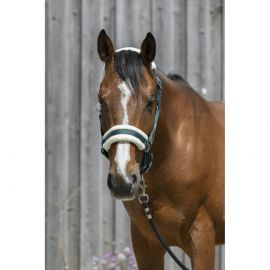 Licol Equitheme mouton (cheval) neuf