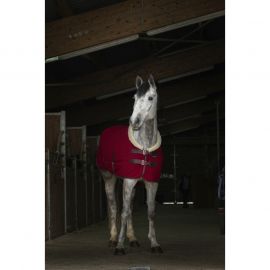 Chemise polaire Equithème teddy bordeaux 135 cm (neuf)