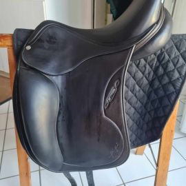 Selle Equipe Oracle