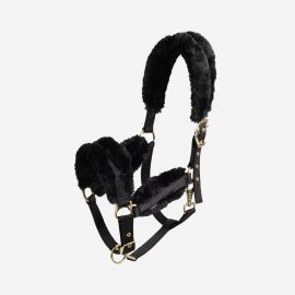 Licol Fouganza moumoute + longe noir et or (cheval)