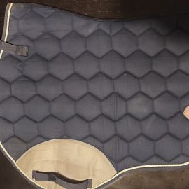 Tapis de selle Showmaster Basic Pro bleu (poney)