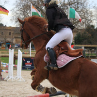 amandine181295