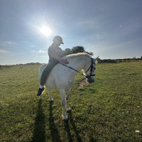louise_pchr.dgc