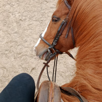 lucile.equit