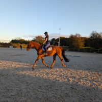 manon_ls