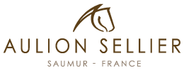 Logo Aulion sellier