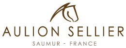 Logo Aulion sellier Logo Aulion sellier