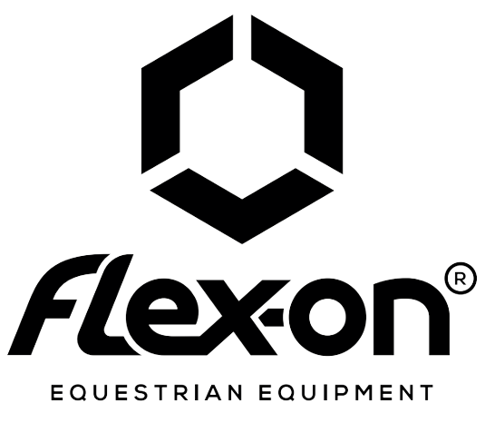 Logo Flex-on